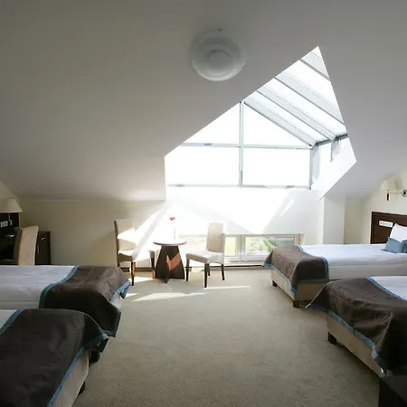 Atena Wedding, Business &