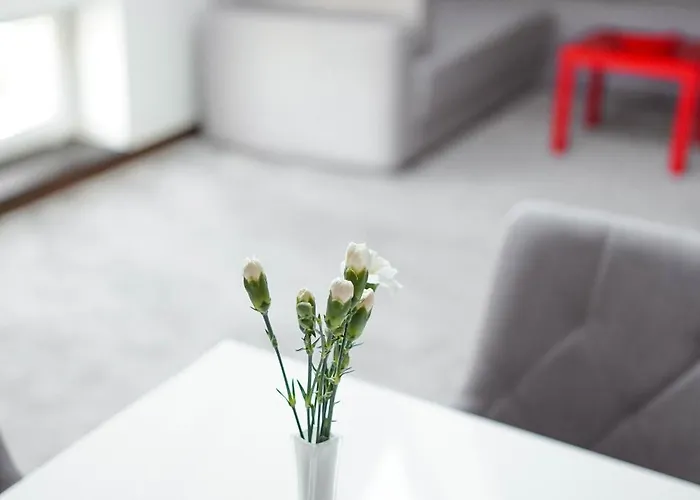 Atena Wedding, Business & Ciechanow